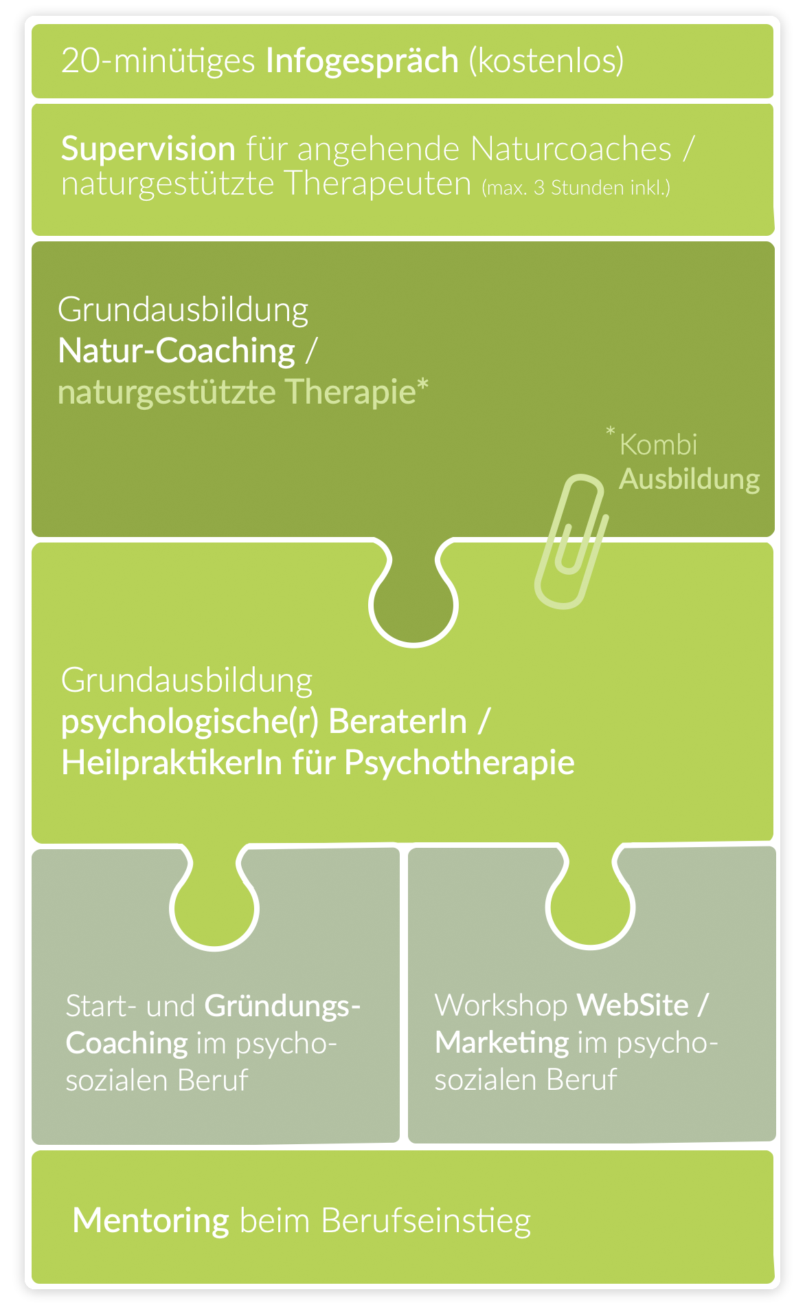 Überblick Coaching-Programm und -Elemente