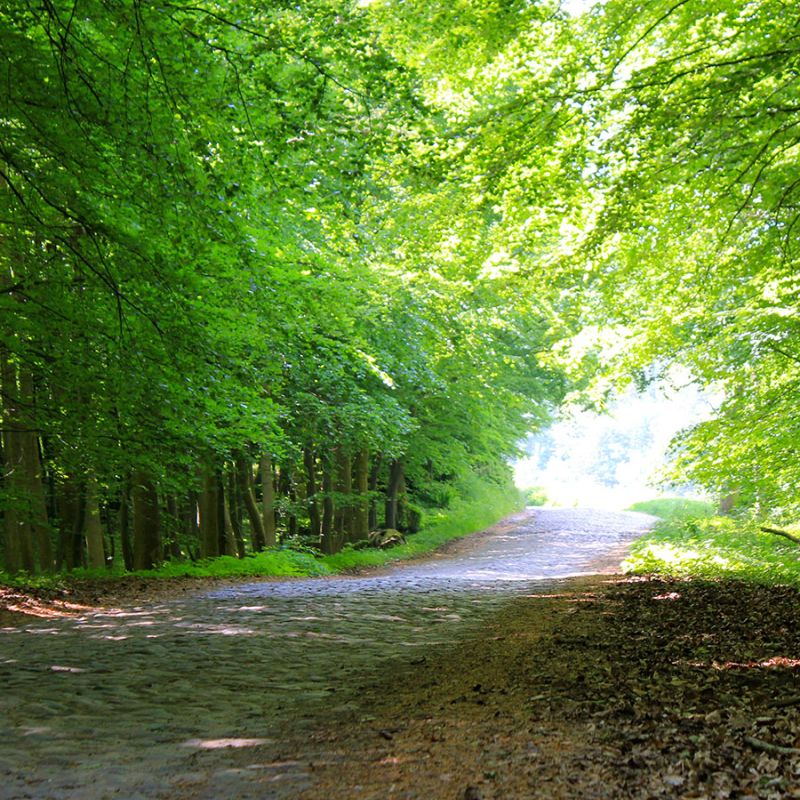 In der Natur fühle ich mich wohl ...