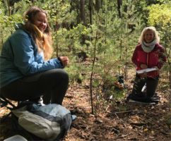 Erstanamnese im Wald