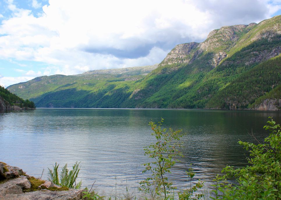 traumhafte Fjorde